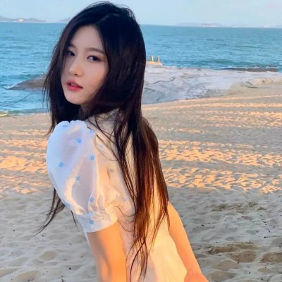 大鸟和小鸟